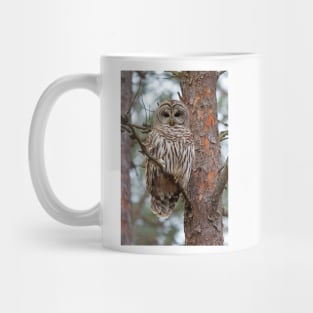 Barred Owl Mug